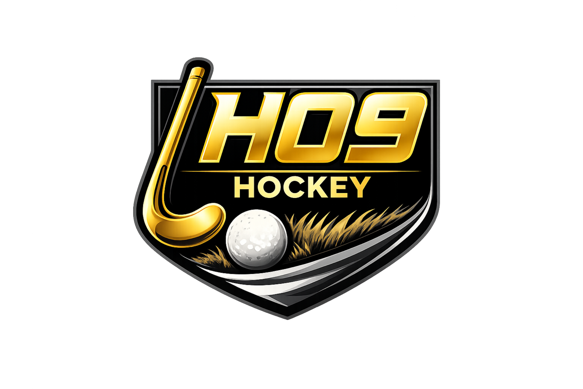 H09 Hockey